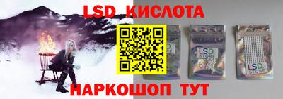 прущие грибы Краснознаменск