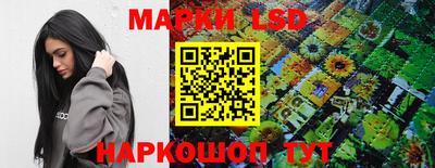 прущие грибы Краснознаменск