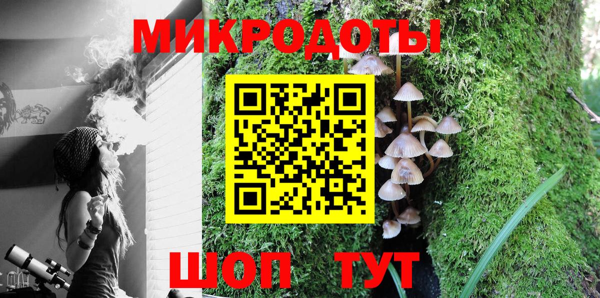 Псилоцибиновые грибы Magic Shrooms Ессентуки